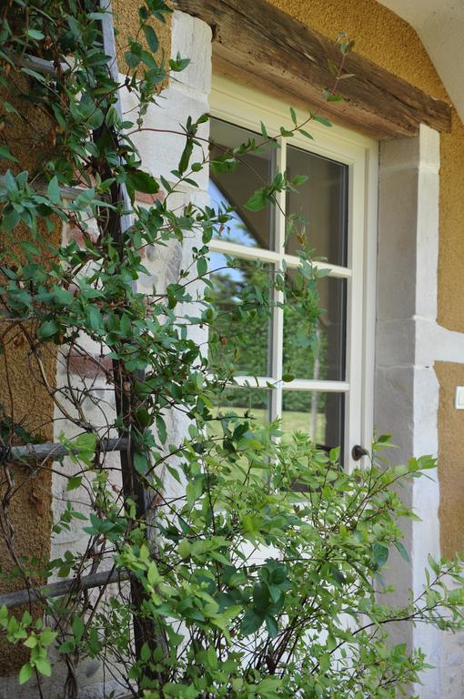 B&B La Cerisaie Francheleins Rom bilde